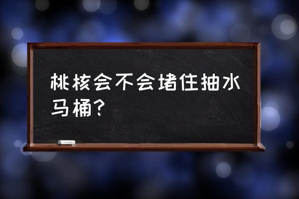 桃核会不会堵住抽水马桶 桃核会不会堵住抽水马桶？