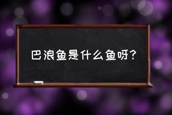 潮州话巴浪鱼是什么意思 巴浪鱼是什么鱼呀？