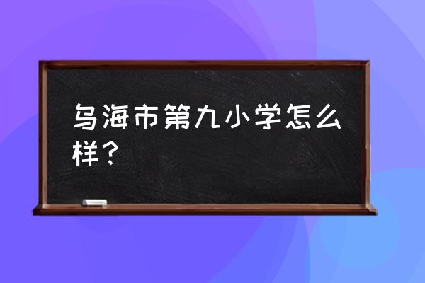 乌海依林b区离哪个小学最近 乌海市第九小学怎么样？