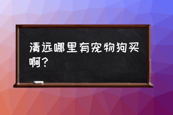 清远哪里买萨摩耶犬 清远哪里有宠物狗买啊？