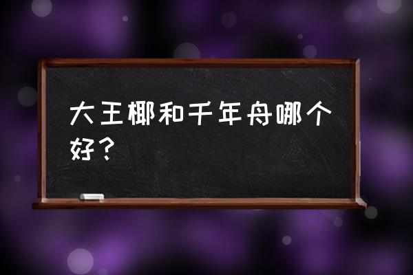 圣鹿板材和千年舟哪个好 大王椰和千年舟哪个好？