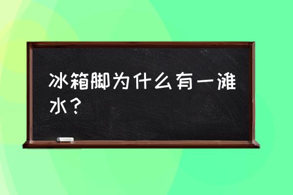 冰箱轱辘有水怎么回事 冰箱脚为什么有一滩水？