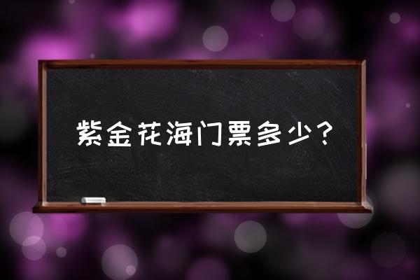 金昌花海是不是今天举行婚礼 紫金花海门票多少？