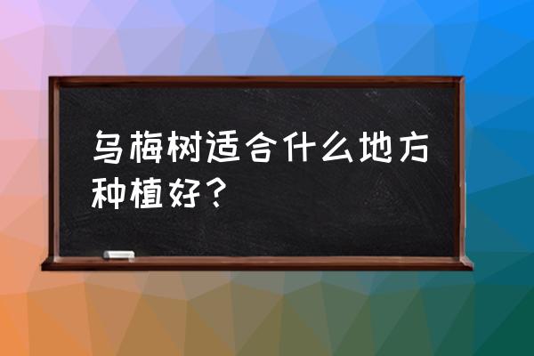 达州乌梅苗木基地在哪里 乌梅树适合什么地方种植好？