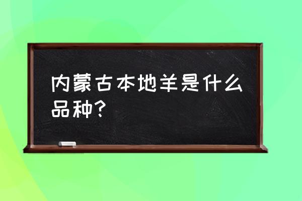 呼伦贝尔养殖什么羊 内蒙古本地羊是什么品种？