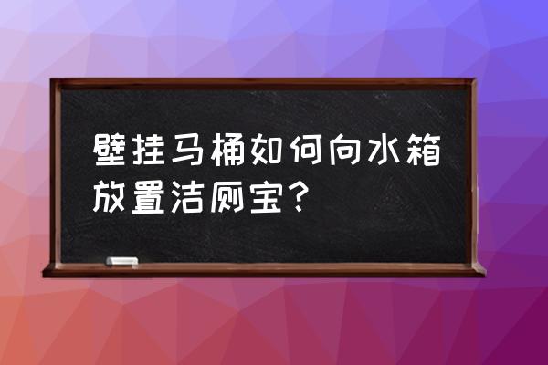 墙排马桶水箱怎么放洁厕 壁挂马桶如何向水箱放置洁厕宝？