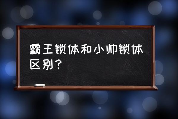 霸王锁体不用钥匙吗 霸王锁体和小帅锁体区别？