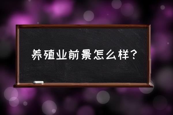 资阳养殖业怎么样 养殖业前景怎么样？