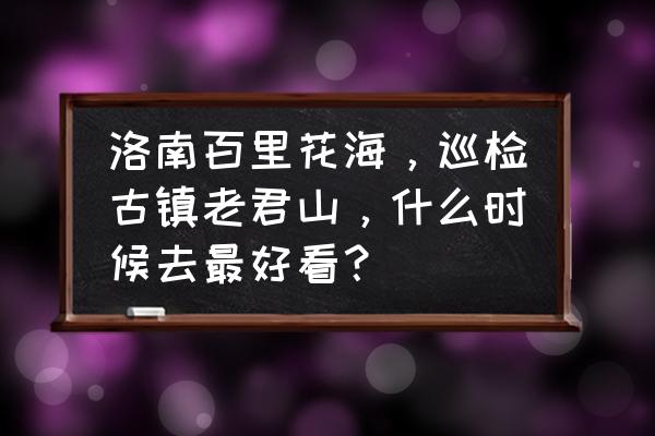 贵州百里杜鹃旅游最佳时间 洛南百里花海，巡检古镇老君山，什么时候去最好看？