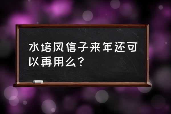 在水里养的花都有什么 水培风信子来年还可以再用么？