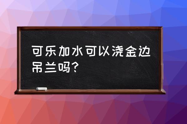 吊兰最怕三种水 可乐加水可以浇金边吊兰吗？