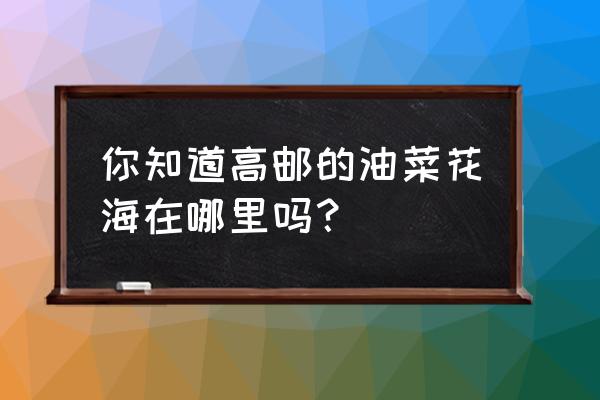 高邮市周边一日游景点排名最新 你知道高邮的油菜花海在哪里吗？