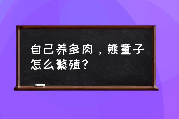 如何移植多肉小分支 自己养多肉，熊童子怎么繁殖？