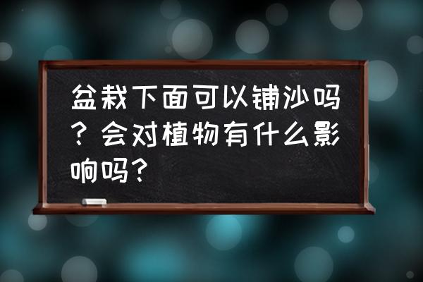 花种直接撒到地上不盖土 盆栽下面可以铺沙吗？会对植物有什么影响吗？