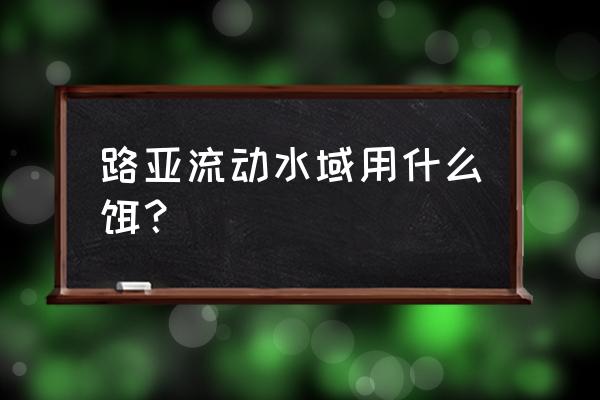 路亚新手选什么饵 路亚流动水域用什么饵？