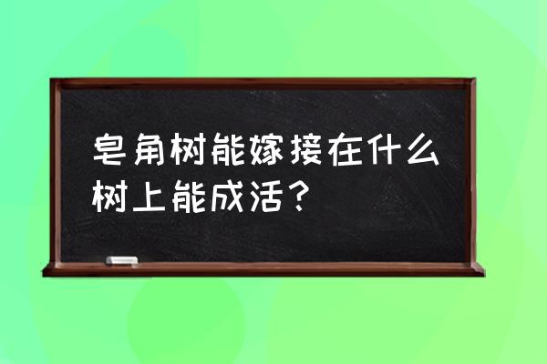 紫荆的嫁接方法 皂角树能嫁接在什么树上能成活？