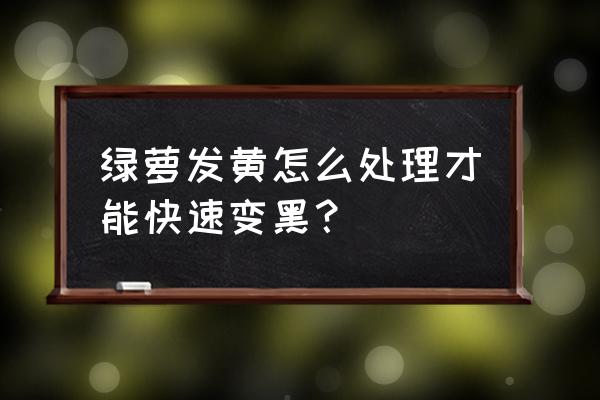 绿萝变黄了以后怎么处理能活下去 绿萝发黄怎么处理才能快速变黑？