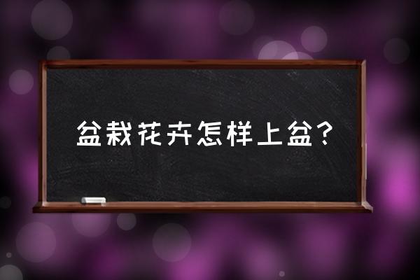 用过的旧花盆怎么重新用于种绿植 盆栽花卉怎样上盆？