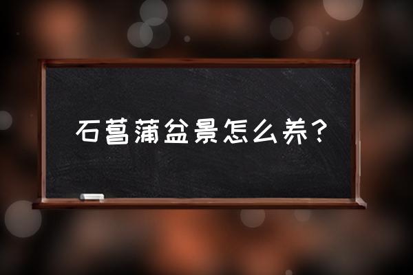 盆栽石菖蒲的养殖方法和注意事项 石菖蒲盆景怎么养？