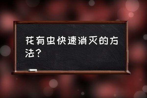 除虫的有效方法 花有虫快速消灭的方法？