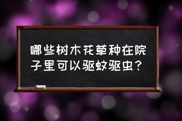 在户外要注意什么有毒的植物 哪些树木花草种在院子里可以驱蚊驱虫？