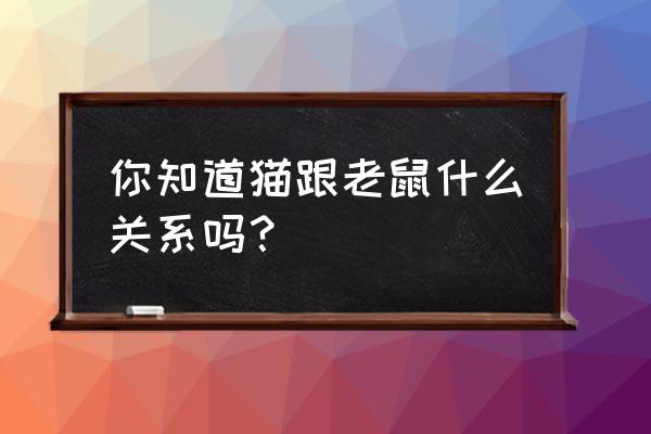 猫和老鼠1-40集完整版 你知道猫跟老鼠什么关系吗？