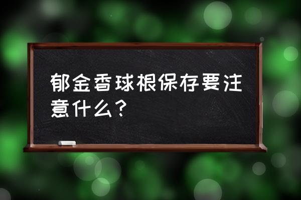 郁金香的种球怎样储藏保管 郁金香球根保存要注意什么？