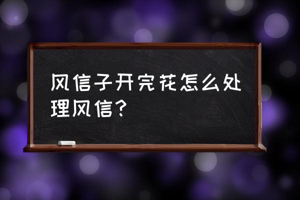 开过花的风信子怎么处理 风信子开完花怎么处理风信？