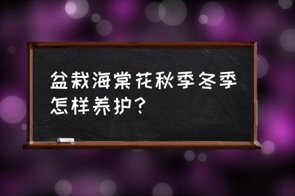 秋季汽车保养常识你了解吗 盆栽海棠花秋季冬季怎样养护？