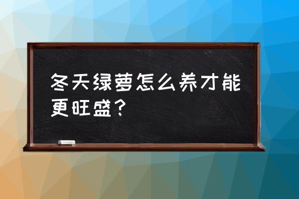 绿萝冬天叶子发黄解决方法 冬天绿萝怎么养才能更旺盛？