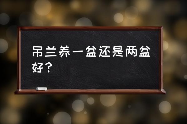 吊兰分盆最简单方法和注意事项 吊兰养一盆还是两盆好？