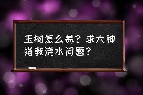 玉树如何浇水施肥最好 玉树怎么养？求大神指教浇水问题？