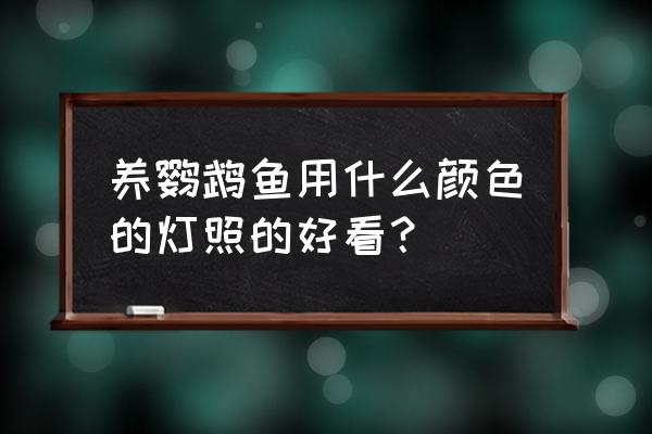 怎样挑选最好的灯具 养鹦鹉鱼用什么颜色的灯照的好看？