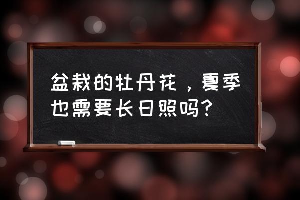 牡丹花喜欢长在什么地方长得最好 盆栽的牡丹花，夏季也需要长日照吗？