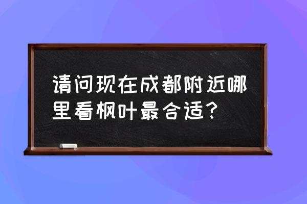 11月份去四川哪里旅游好 请问现在成都附近哪里看枫叶最合适？