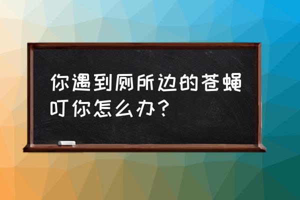 厕所里的苍蝇怎样从根本上去除 你遇到厕所边的苍蝇叮你怎么办？