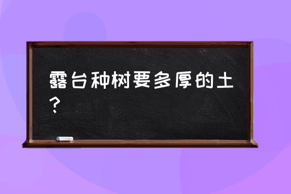 露台上的树 露台种树要多厚的土？