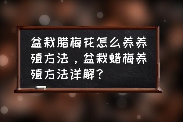 家庭花卉养殖技巧让我来告诉你 盆栽腊梅花怎么养养殖方法，盆栽蜡梅养殖方法详解？