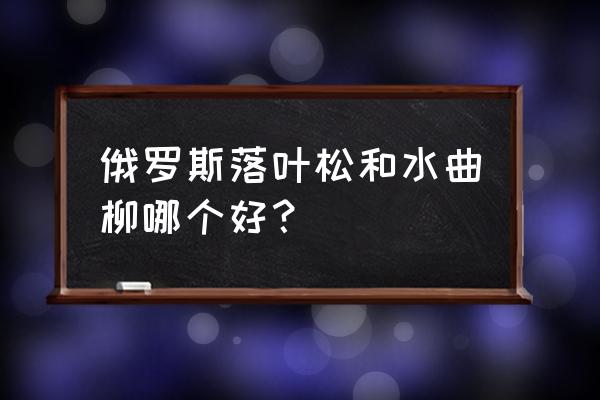 十大硬杂木排名 俄罗斯落叶松和水曲柳哪个好？