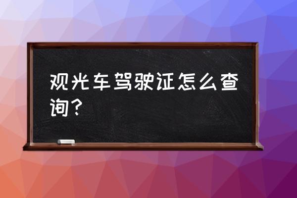 观光车驾驶员安全培训记录 观光车驾驶证怎么查询？