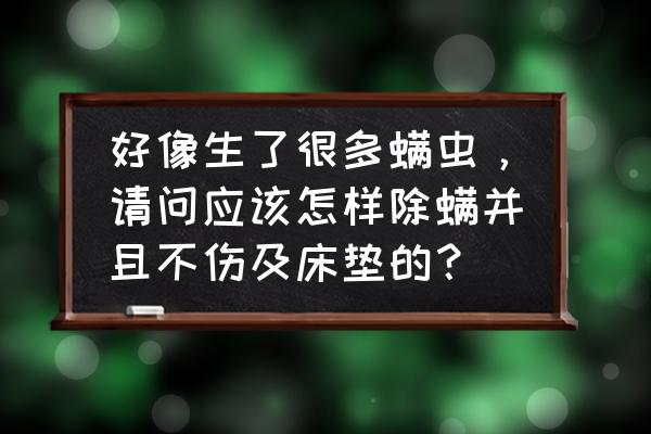 床垫上有螨虫怎样去除最好 好像生了很多螨虫，请问应该怎样除螨并且不伤及床垫的？