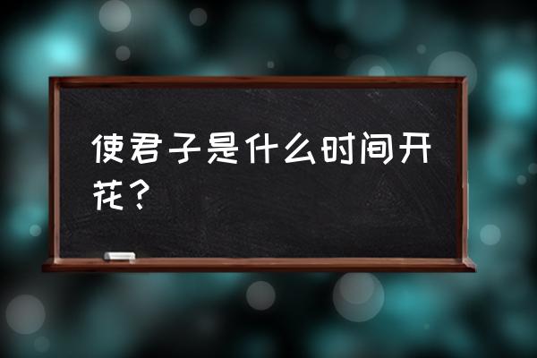 新买的使君子怎么养才会开花 使君子是什么时间开花？