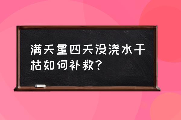 满天星冬天怎么养才不会枯萎 满天星四天没浇水干枯如何补救？