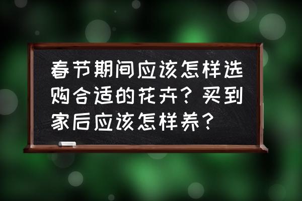 家庭养花基础知识总结 春节期间应该怎样选购合适的花卉？买到家后应该怎样养？