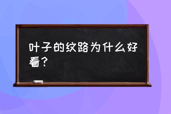 怎么把植物纹路拍摄清楚 叶子的纹路为什么好看？