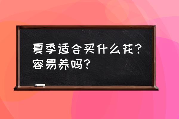 冬天绣球半死不活怎么办 夏季适合买什么花？容易养吗？