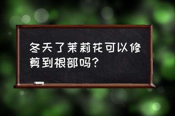 茉莉花冬季修剪的最佳时间 冬天了茉莉花可以修剪到根部吗？