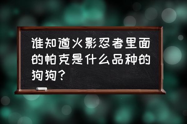 火影忍者手游豚豚怎么养 谁知道火影忍者里面的帕克是什么品种的狗狗？