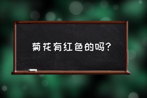 百日草的叶子卷曲怎么办 菊花有红色的吗？