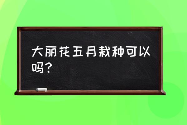 大丽花的冬季养殖方法和注意事项 大丽花五月栽种可以吗？